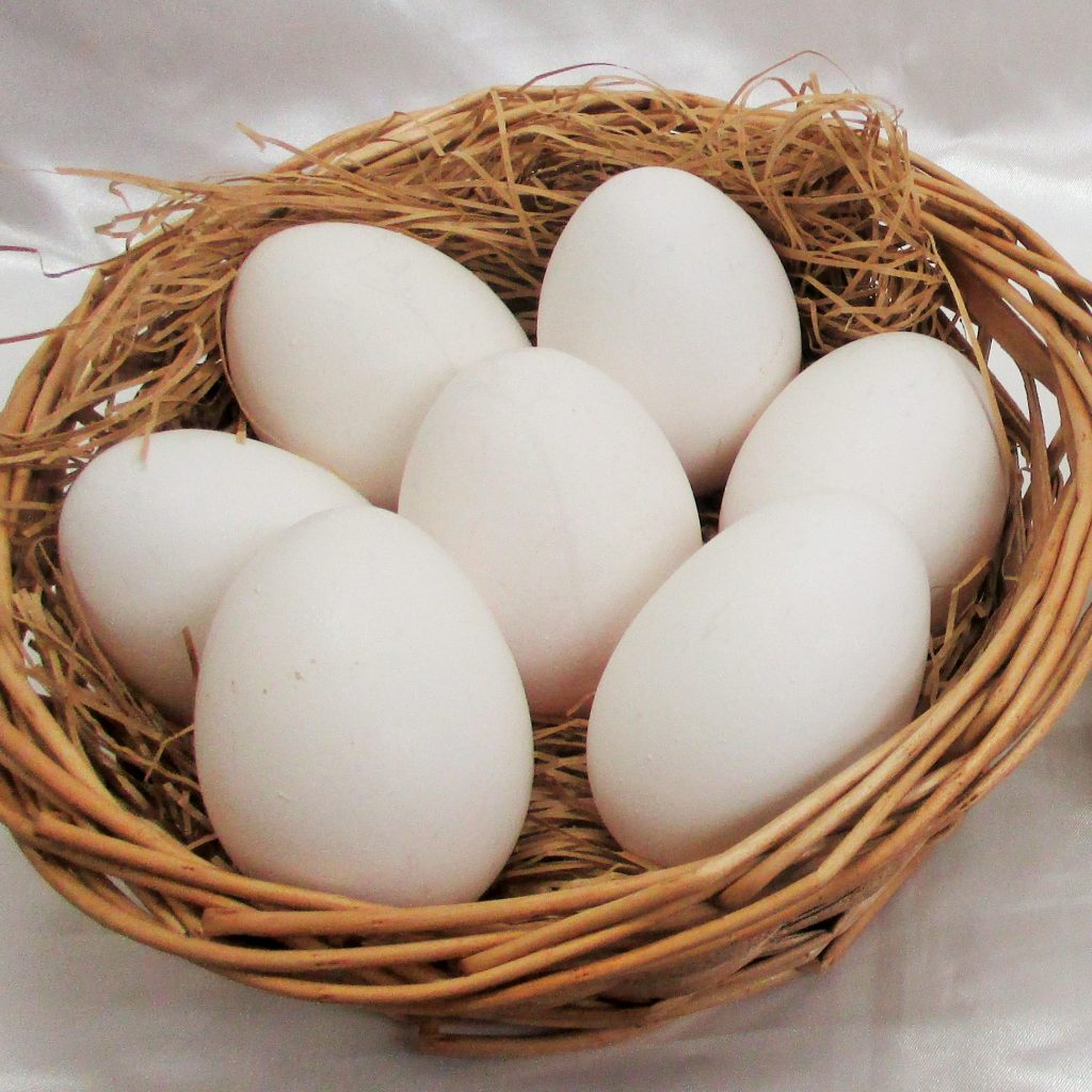朝倉市平野養鶏場の卵